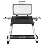 plinski-zar-furnace-heston-blumenthal–stone-glavna-800-min